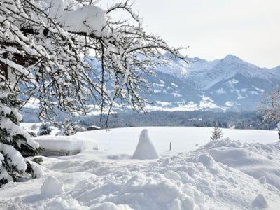 Alphirt Apartment Fischen im Allgaeu