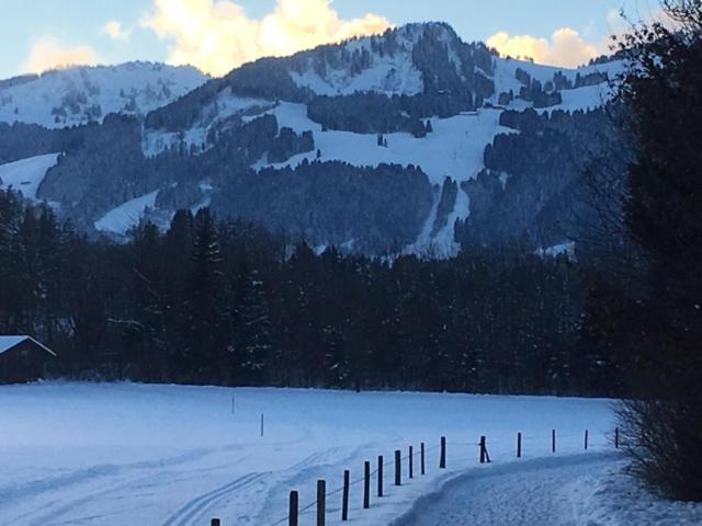 Alphirt Fischen im Allgaeu